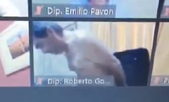 El colmo: Diputado sesiona desnudo
