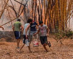 Sancionan ley para combatir incendios con ayuda internacional