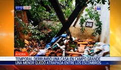 Rescatan a niña atrapada por árbol durante temporal