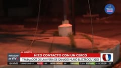 Hombre muere electrocutado tratando de salvar a un caballo