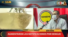 Lluvias y calor provocan invasión de mosquitos e insisten en eliminar criaderos