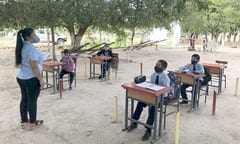 Estudiantes inician clases presenciales bajo árboles en Concepción