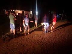 Matan a balazos a un perro en Santa Rita