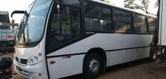 Municipalidad de Fernando habilita servicio de buses internos