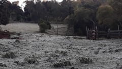 Meteorología anuncia ingreso de “frío polar” para la próxima semana
