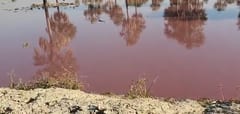 Fiscalía acude a curtiembre tras denuncia de cauce teñido de rojo