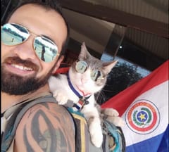 Facultad de Veterinaria descarta envenenamiento en muerte del “Gato Mochilero”