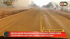 Llamas siguen activas luego de arrasar con gran parte de Parque Nacional
