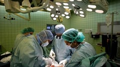En el Día Nacional del Donante de Órganos y Tejidos instan a donar córneas