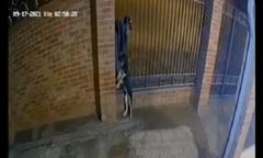 Delincuentes roban perro cachorro de vivienda en San Lorenzo