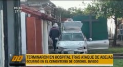 Ataque de abejas en cementerio de Oviedo deja hospitalizados