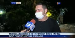 Embarazada fallece tras sufrir caída de árbol