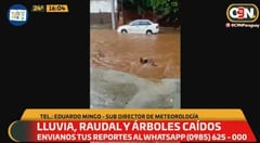 Temporal derriba árboles y genera raudales en Central