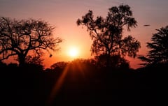 Anuncian primer día del 2022 con altas temperaturas