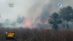 Piden conciencia para evitar ola de incendios forestales