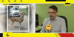 Desde el Mades alegan que no hay regulación para tenencia de animales exóticos