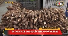 Sequía produce encarecimiento de hortalizas, dicen vendedores