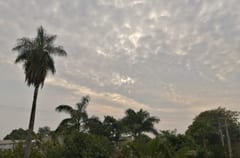 Anuncian domingo caluroso con vientos del sur