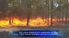 Declaran emergencia ambiental en Ayolas