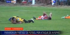 Ataque de avispas obliga a detener partido de fútbol en Canindeyú