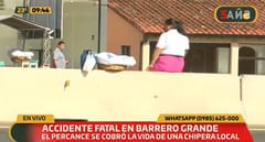 Chipera muere tras ser embestida por camioneta sobre la ruta PY02