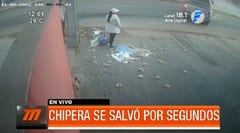 Chipera se salva “milagrosamente” de ser arrollada por camioneta en Limpio