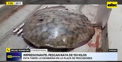 Pescan raya de 150 kilos en Ayolas