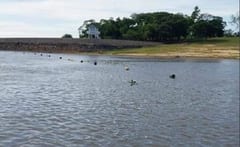Hallan cuerpo de niño desaparecido en el río Paraguay