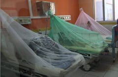 Salud insta a volver a usar mosquiteros ante amenaza de chikunguña