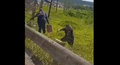 Vendedores informales de combustibles se defienden con abejas