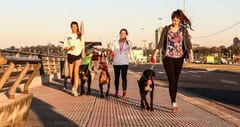 Se prevé un miércoles fresco a cálido con vientos del sur