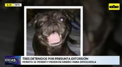 Detienen a tres sujetos por el secuestro de una perra