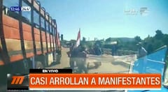 Viralizan video de transganado arremetiendo contra manifestantes
