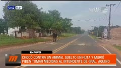 Animal suelto provoca un choque fatal en General Aquino