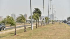 Alerta por vientos intensos y alto riesgo de incendios