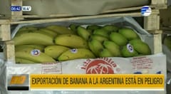 Exportadores de bananas en vilo por impagos argentinos