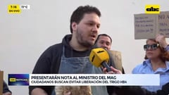 Presentan nota y estudios para evitar liberación del trigo transgénico HB4