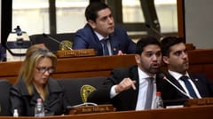 Diputado Benítez acusa a Peña de intentar “saltear” al Congreso