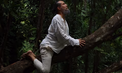 “Feral”: Una exposición que da voz a la fauna nativa en peligro