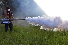 Verano epidemiológico: Riesgos y prevención ante el Dengue y Chikunguña