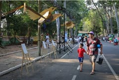 Parque Caballero será escenario de cuatro festivales culturales