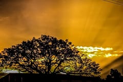 Anuncian un martes con calor, lluvia y descenso de temperatura