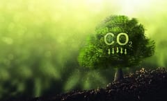 Mercado de carbono en Paraguay: ¿Inversión o estafa ambiental?