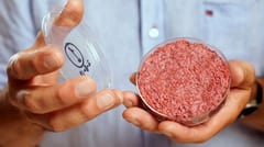 Avanza ley que prohíbe carne sintética