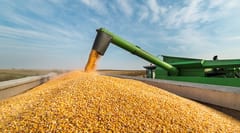 Paraguay lidera en proyecciones económicas en Sudamérica para 2023, según FMI
