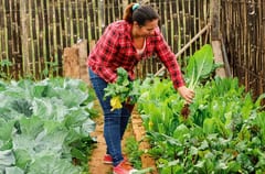 Aumento del 76% en la participación de las mujeres en el sector agropecuario.