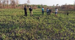 Restos óseos hallados en Bella Vista, podrían pertenecer a una mujer