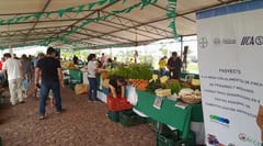 ¡Apoya a nuestros productores rurales comprando en la Feria de la Agricultura Familiar!