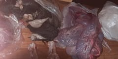 Indignación en Irala Fernández por donación podrida de “Chaqueñito” Vera