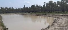 Lluvias en el Chaco: Un oasis de esperanza en medio de la sequía